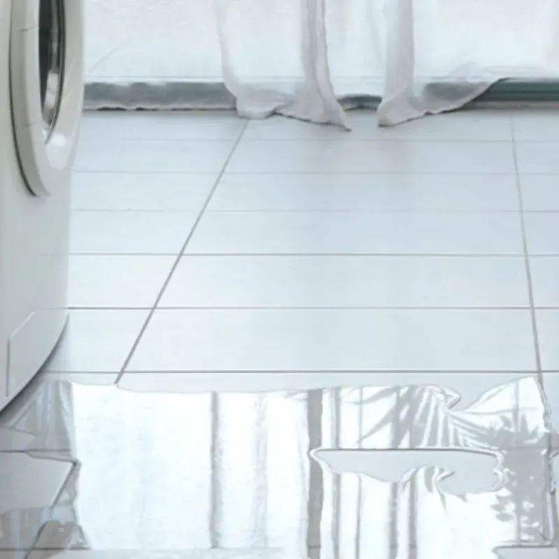 Appliance Leak Cleanup in Dawson County, TX