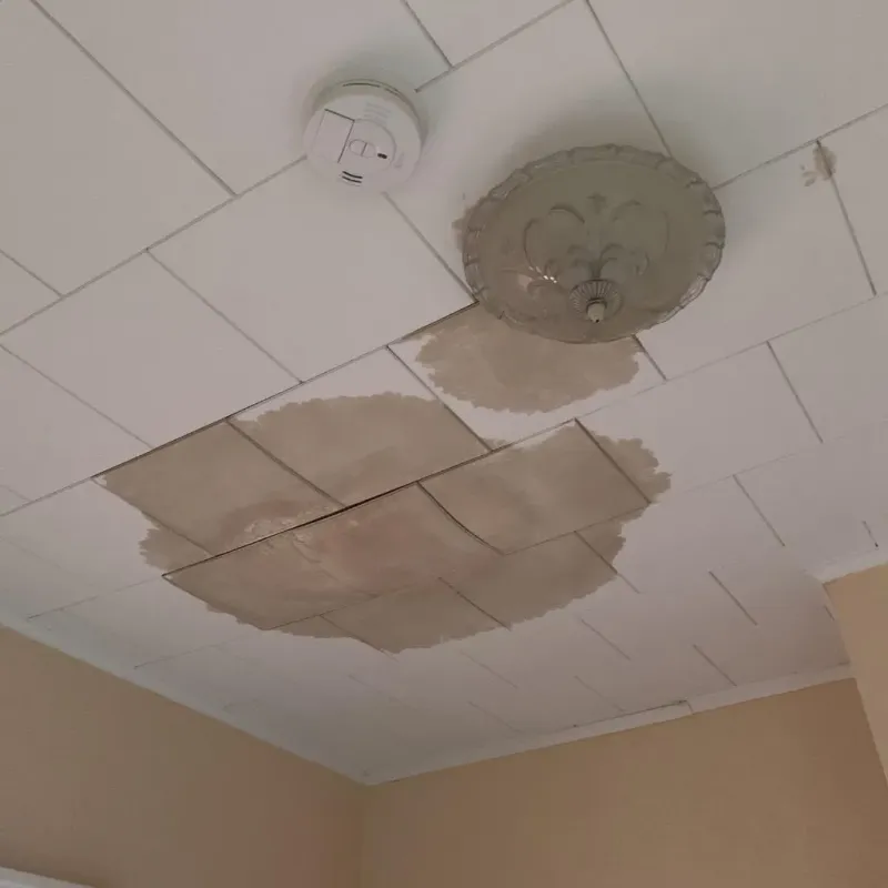 Ceiling Water Damage Repair in Dawson County, TX