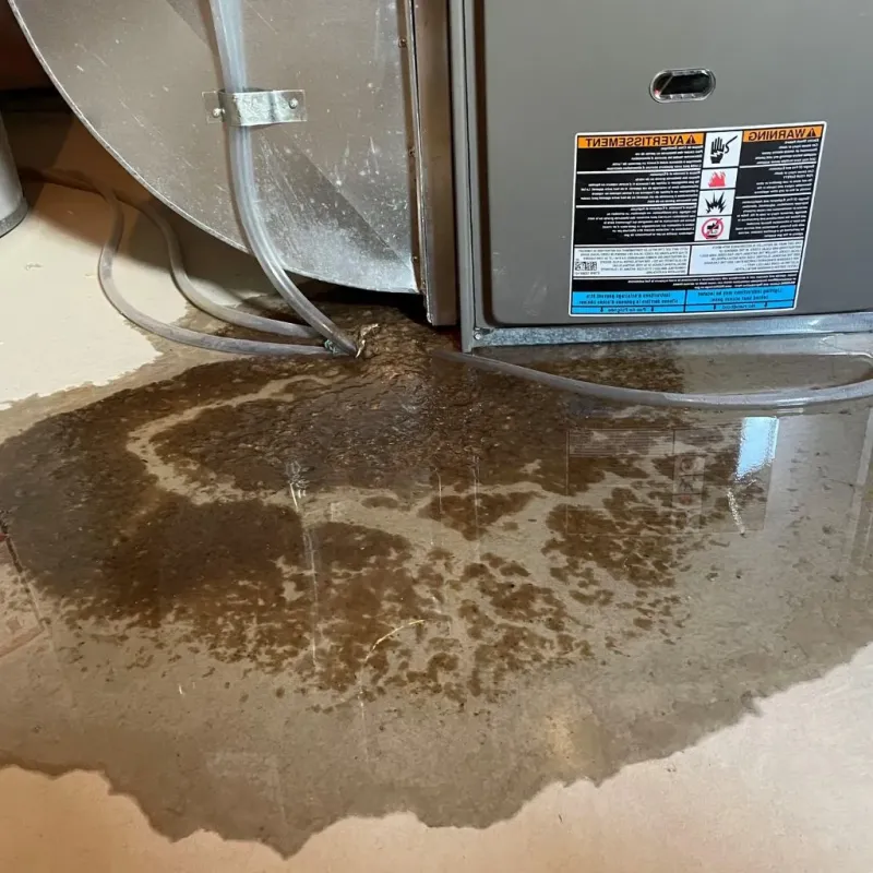 Pipe Burst and Leak Restoration in Dawson County, TX