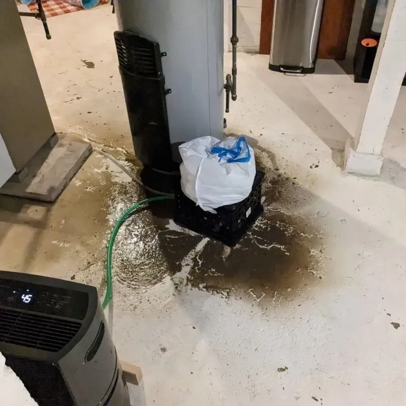 Sewage Backup Cleanup Service in Dawson County, TX